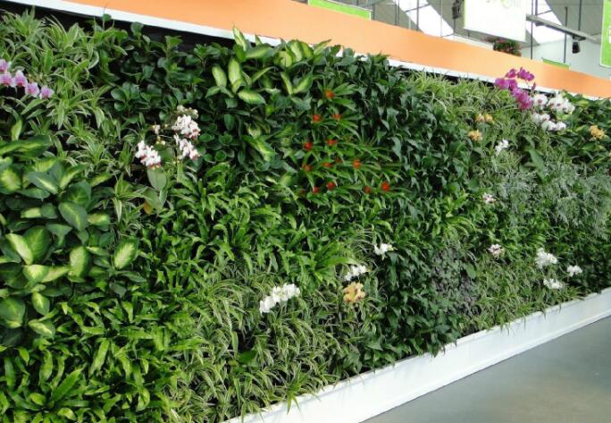 人造植物墙