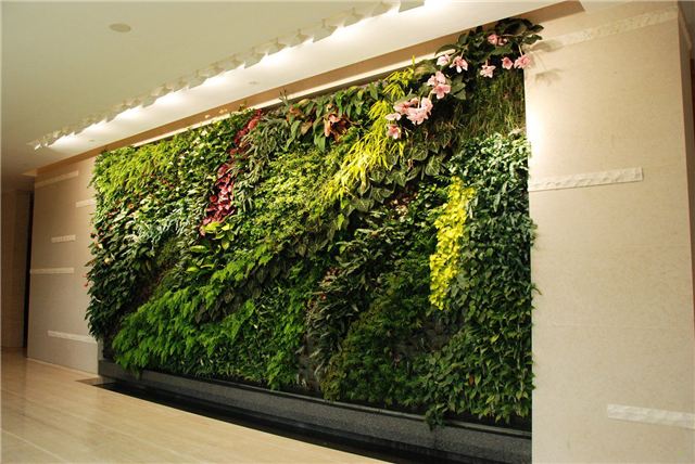 室内植物墙做法以及注意事项 室内植物墙价格多少一米