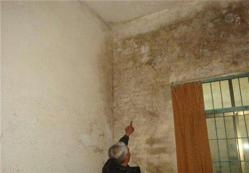 家里墙壁发霉怎么处理 细数墙壁发霉对人体的危害